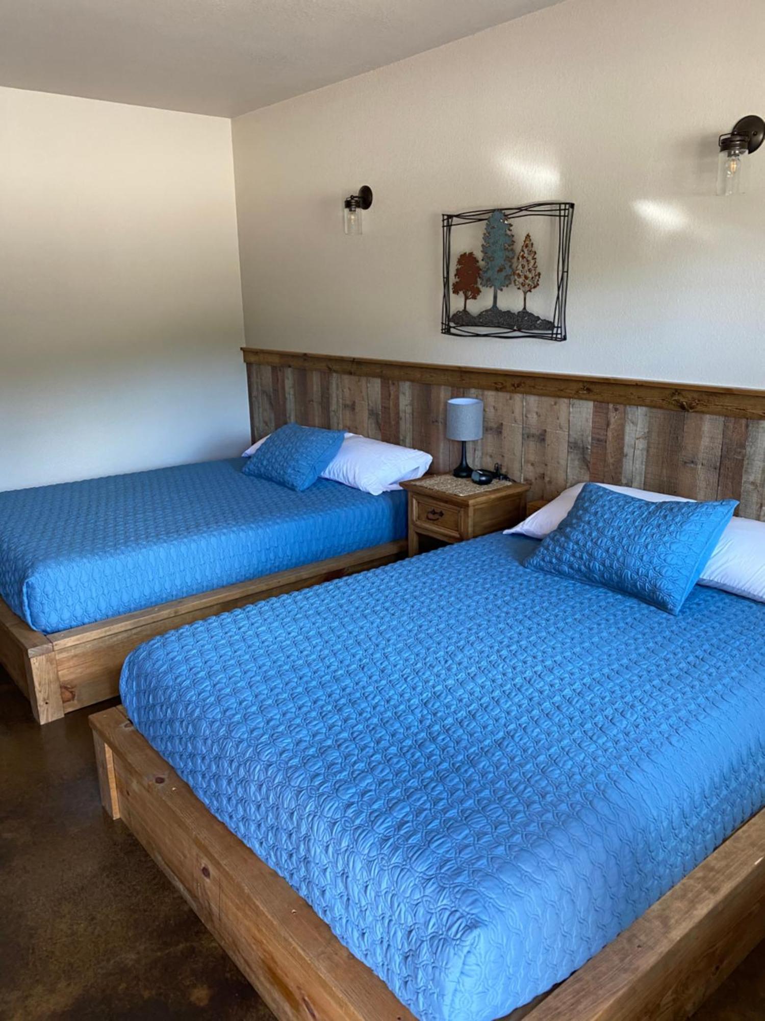The Woods Lodging Kingston Quarto foto